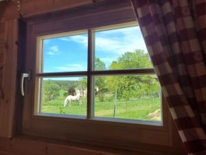 a window looking out at a horse in a field at Romantisches Holz-Iglu Optional mit Hotpot mit Whirlpoolfunktion und LED Unterwasserbeleuchtung in Neuhaus an der Eger