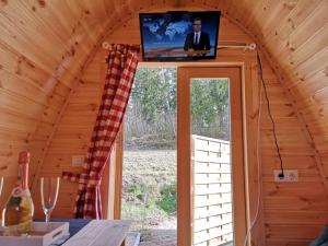 a tv on top of a room in a house at Romantisches Holz-Iglu Optional mit Hotpot mit Whirlpoolfunktion und LED Unterwasserbeleuchtung in Neuhaus an der Eger