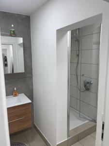 bagno con doccia, lavandino e specchio di Gemütliche Wohnung im Ortskern a Eichendorf