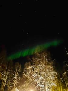 Eine Aurora im Himmel über ein paar Bäumen in der Unterkunft Mökki luonnon keskellä. in Tervola