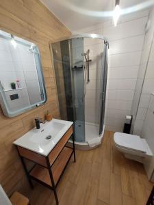 een badkamer met een douche, een wastafel en een toilet bij Apartament Śnieżka in Karpacz