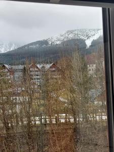 a view of snow covered mountains from a window at Apartament Śnieżka in Karpacz