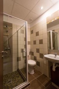 ホードメゼーヴァーシャールヘイにあるKentaur Lovaspanzióのバスルーム(シャワー、トイレ、シンク付)