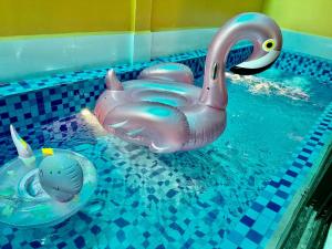 a plastic toy duck in a swimming pool at Chippi villa in Ha Long
