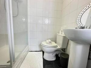 ein Bad mit einem WC, einem Waschbecken und einer Dusche in der Unterkunft Tranquil Haven Studio Escape in Vibrant Birmingham in Birmingham