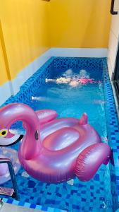 a pool with a pink inflatable shark in the water at Chippi villa in Ha Long