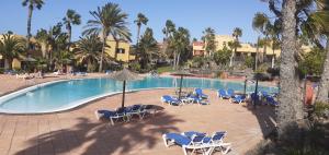 a swimming pool with chairs and umbrellas and palm trees at Oasis Waves House in Corralejo