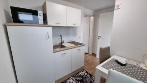 uma pequena cozinha com um lavatório e um micro-ondas em Apartments Jasko em Ig