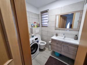 a bathroom with a washing machine and a washer at Apartments Jasko in Ig
