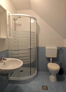 a bathroom with a shower and a toilet and a sink at Apartmaji Pri Kokolu in Bled