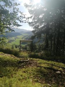 Príroda v okolí dovolenkového domu