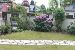 un jardin avec des fleurs violettes et une clôture dans l'établissement Naherholung inmitten der Natur am Rheinsteig, à Rheinbreitbach