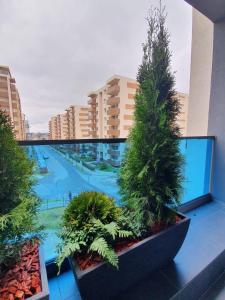 a balcony with trees and plants on a building at Tzuba Luxury Home Coresi Mall Brasov in Braşov