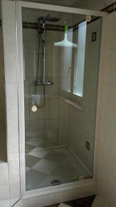 een douche met een glazen deur in de badkamer bij Bora Appartements 1 mit 4 Schlafzimmer in Zell am See