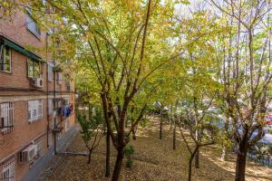 a view of a yard with trees next to a building at Apartamento 3 habs Madrid in Madrid
