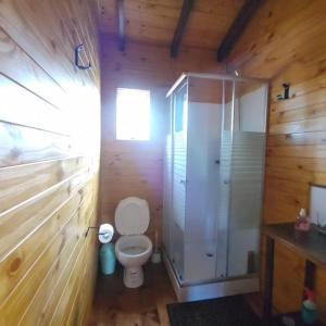 Un baño con inodoro y ducha a ras de suelo. en Cabaña Las Martinetas, en María Grande