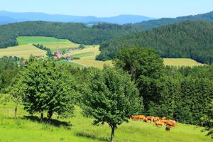 un gruppo di vacche che pascolano in un campo alberato di Ferienwohnung für 8 Pers Wellness inkl Bayerischer Wald - Richterhof a Kollnburg
