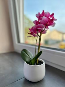 a white vase with a pink flower in a window at Modernes Apartment am Dreiländereck in Alsdorf