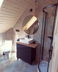 a bathroom with a sink and a toilet and a mirror at Domek pod Dębami Bogaczewo in Bogaczewo