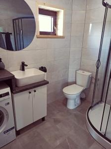uma casa de banho com um WC, um lavatório e um chuveiro em Domek pod Dębami Bogaczewo em Bogaczewo