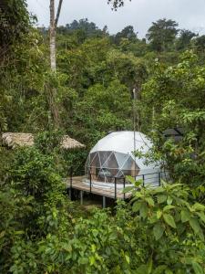 a dome tent in the middle of a forest at Hotel Rivel - Restaurant & Nature Retreat in Turrialba