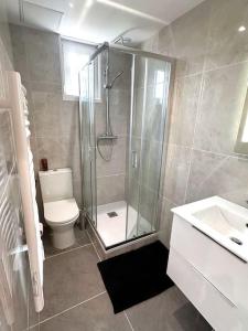 a bathroom with a shower and a toilet and a sink at Flat 2beds Bellegarde in Bellegarde-sur-Valserine