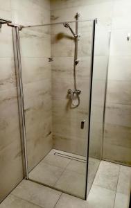 a shower with a glass door in a bathroom at Czartoryskich 7 in Puławy