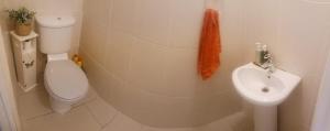 Bagno di Cobh Rambler
