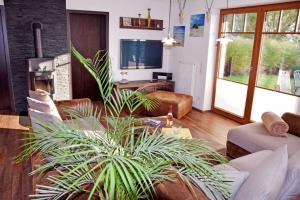 ein Wohnzimmer mit einem Sofa und einem TV in der Unterkunft Ferienwohnung in Sellin mit Grill, Terrasse und Garten in Ostseebad Sellin