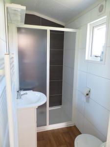 巴勒納紹的住宿－Mobilheim für 4 Personen ca 35 qm in Baarle-Nassau, Nordbrabant - b58367，带淋浴、盥洗盆和卫生间的浴室