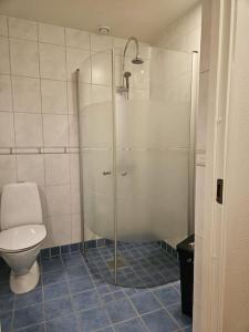 een badkamer met een douche en een toilet bij Lägenhet i Älvsborg Göteborg in Göteborg