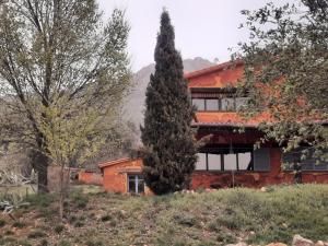 a large tree in front of a house at Apartamentos Rurales Candela in Cañamero