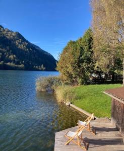 a view of a lake with two starfish on a dock at Apartment mit Seeblick in Feld am See