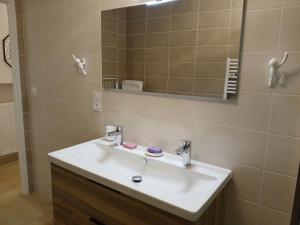 a bathroom with a white sink and a mirror at Gite du Vieux Tonneau in Cerdon +21 photos