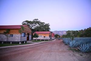 ein Feldweg neben einem Haus und einem Feld in der Unterkunft Hotel cabañas yyukkai in Tequila