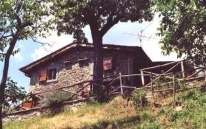 una vieja casa de piedra en una colina con un árbol en Appartement in Bibbiena mit Grill, gemeinsamem Pool und Garten, en Bibbiena