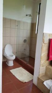 een badkamer met een toilet en een douche bij Casona los Bambú in San José