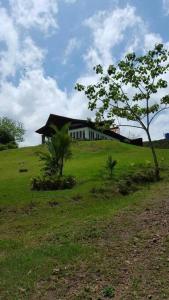een huis bovenop een groene heuvel met een boom bij Casona los Bambú in San José