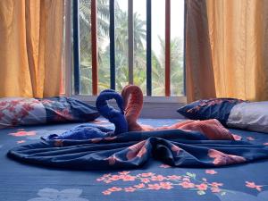Voodi või voodid majutusasutuse Acuarios Hostal toas