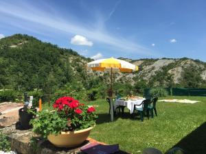 uma mesa com um guarda-chuva amarelo e algumas flores vermelhas em Ferienwohnung für 3 Personen 2 Kinder ca 65 qm in Colombara, Marken Provinz Pesaro-Urbino em Apecchio