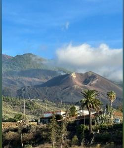 uma vista para uma montanha com uma casa e uma palmeira em Estudio los cipreses em Breña Alta