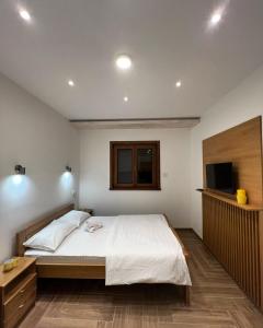 ein Schlafzimmer mit einem Bett und einem TV in der Unterkunft Apartmani Ristanović Užice in Užice