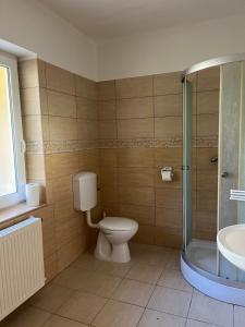 Kúpeľňa v ubytovaní Apartment Villa Attila