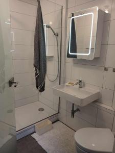 a bathroom with a sink and a toilet and a mirror at Pension Eltmann in Eltmann