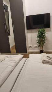 een slaapkamer met 2 bedden en een flatscreen-tv bij Brandneues Stadtglanz Apartment in Stuttgart