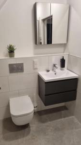 een badkamer met een toilet, een wastafel en een spiegel bij Brandneues Stadtglanz Apartment in Stuttgart
