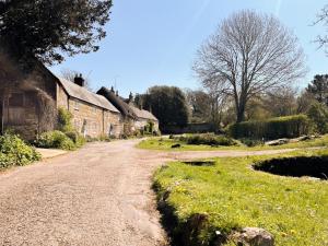 a dirt road in a village with houses and trees at Honey Bee Cottage in Calbourne