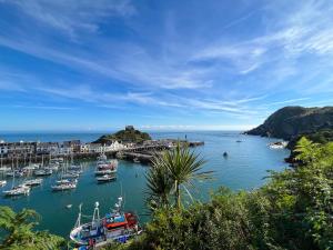 a group of boats docked in a harbor at Admirals Lookout in Ilfracombe