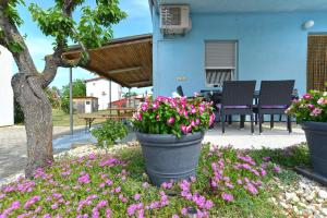 un pot de fleurs devant une maison dans l'établissement Ferienwohnung für 3 Personen ca 30 qm in Fažana-Surida, Istrien Istrische Riviera - b62503, à Štinjan