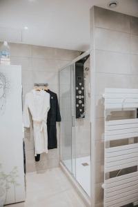 a bathroom with a walk in shower and a mirror at Splendide appartement Cosy in Brioude